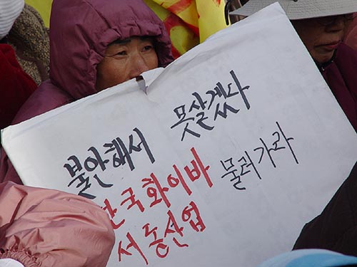 "집 벽에 금이 가고, 지붕에 물이 새는데 어찌 편하겠노." 